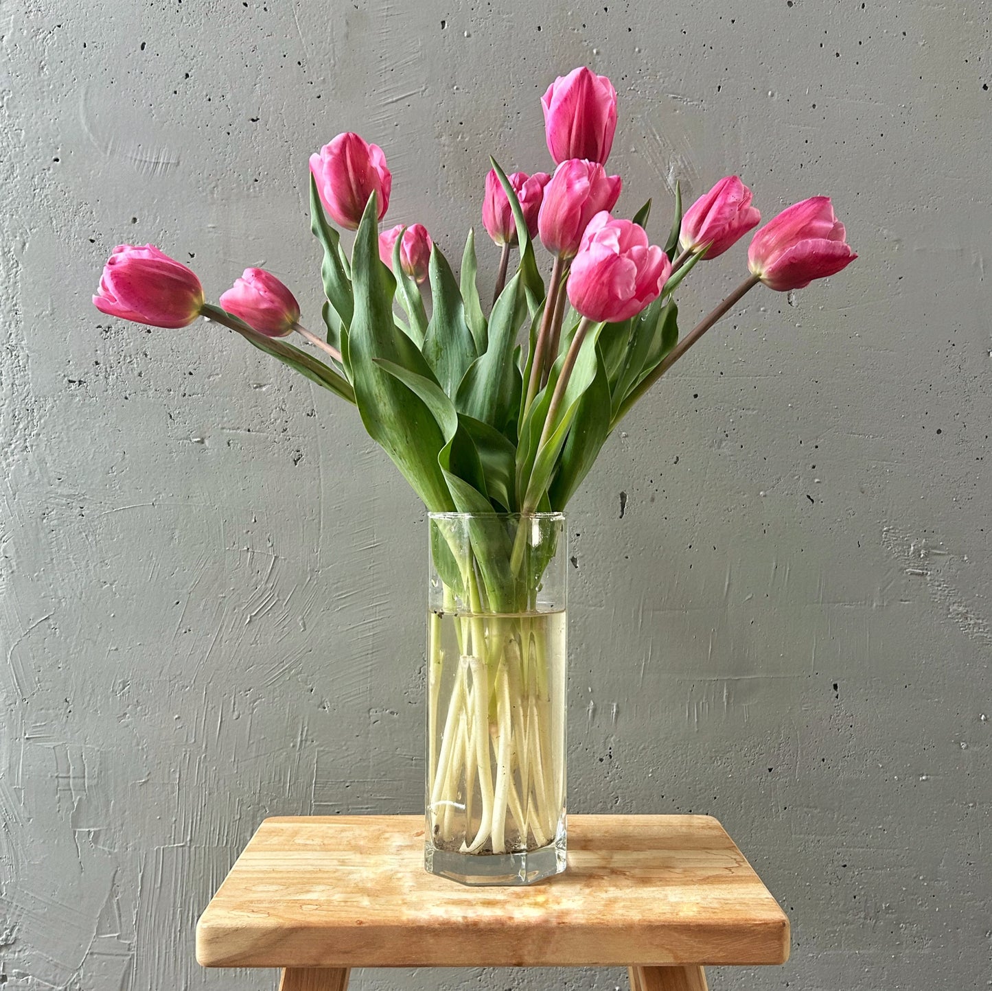 Suscripcion Semanal de Flor de la Granja